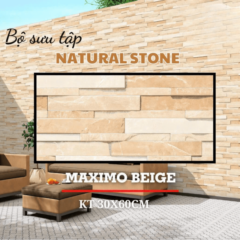 Gạch ấn độ ốp tường nội ngoại thất 300x600mm DS04 - Daisan Store