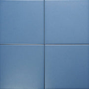 Gạch Bông F2205 - Daisan Store