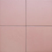 Gạch Bông F2211 - Daisan Store