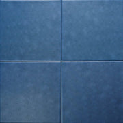 Gạch Bông IN2012 - Daisan Store