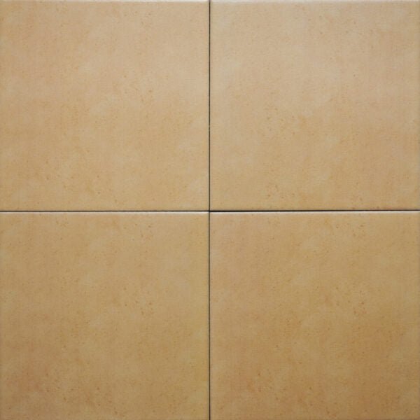 Gạch Bông IN2016 - Daisan Store