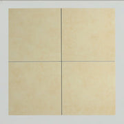 Gạch bông KT 300x300mm mã MF3170L - Daisan Store