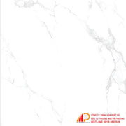 Gạch granite 600x600 Thạch Bàn PGM60 - 0225 - Daisan Store
