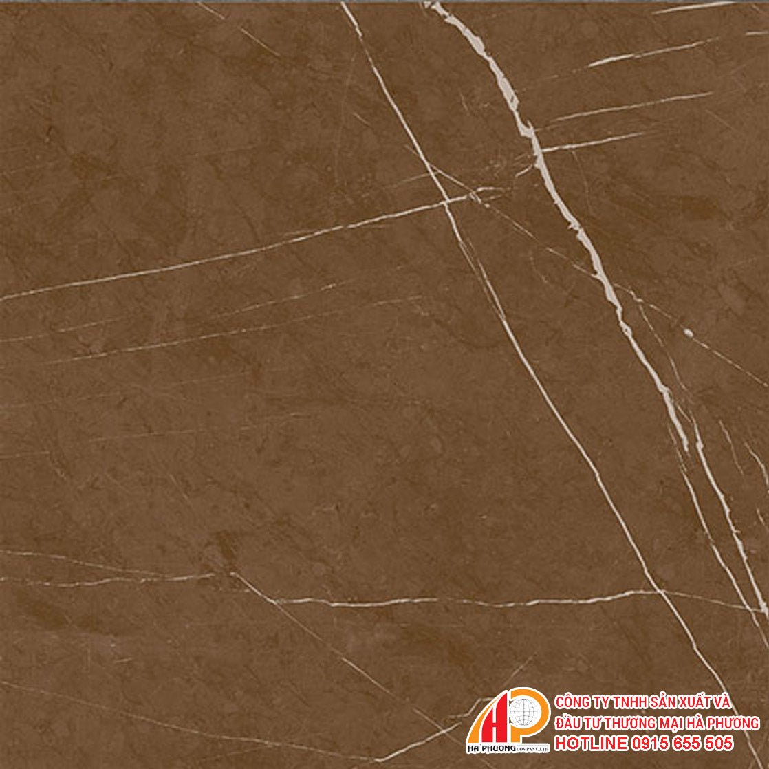 Gạch granite men bóng Thạch Bàn TGB60 - 0236 - Daisan Store