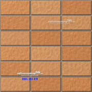 Gạch Inax 255/VIZ - 10 - Daisan Store