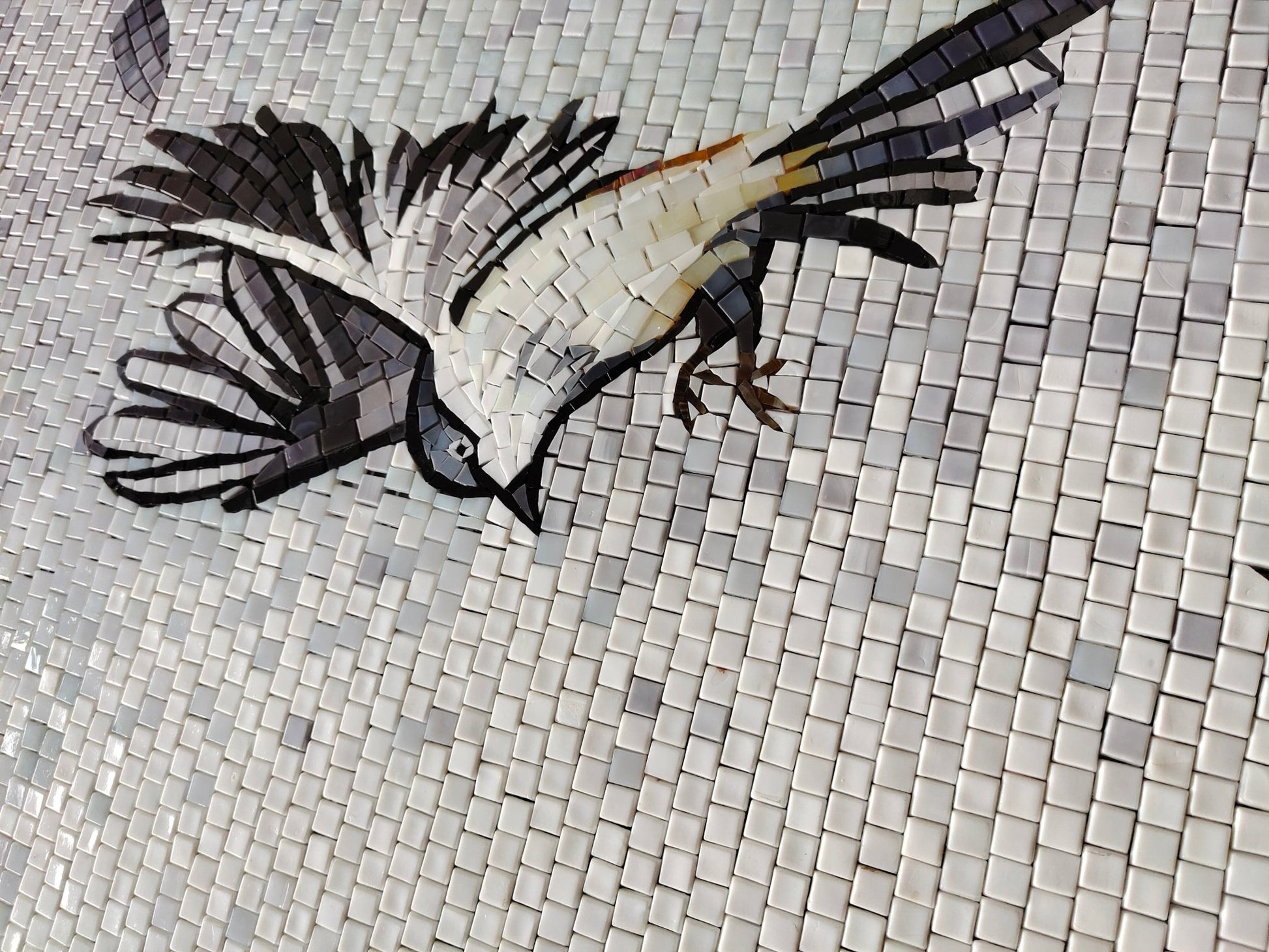 Gach Kham Kinh Hien Dai 80x160cm Cho Be Boi Va Trang Tri - Daisan Store