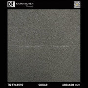Gạch lát nền 600×600 TQ - LY 66040 - Daisan Store