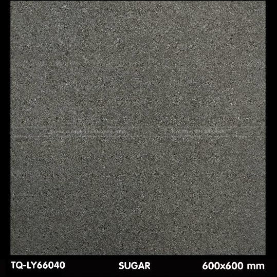 Gạch lát nền 600×600 TQ - LY 66040 - Daisan Store