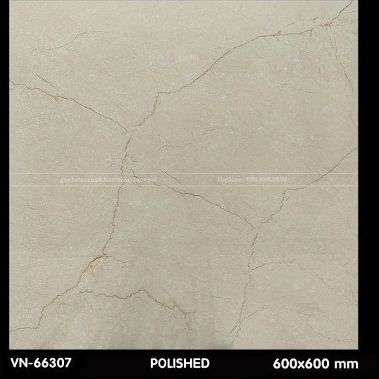 Gạch lát nền 600×600 VN - 66307 - Daisan Store