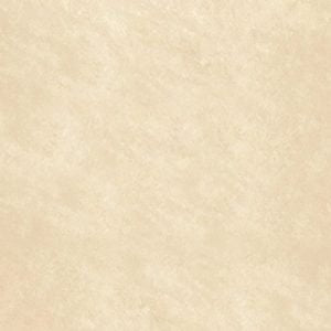 Gạch lát nền taicera 30×30 g38912nd - Daisan Store