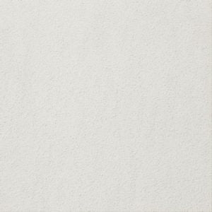 Gạch lát nền taicera 30×30 g38925nd - Daisan Store