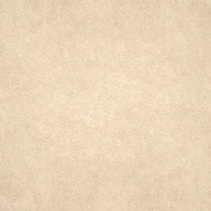 Gạch lát nền taicera 30×30 g38932nd - Daisan Store