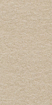 Gạch lát nền taicera 30×60 g63522 - Daisan Store
