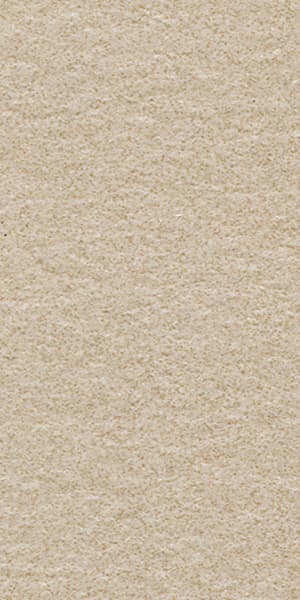 Gạch lát nền taicera 30×60 g63522 - Daisan Store