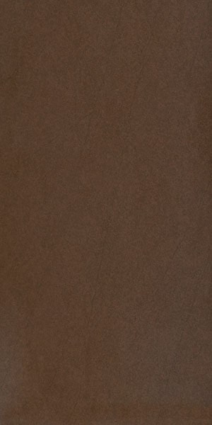 Gạch lát nền taicera 30×60 g63911 - Daisan Store