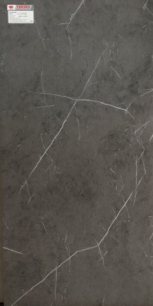 Gạch lát nền taicera 60×120 g12808 - Daisan Store