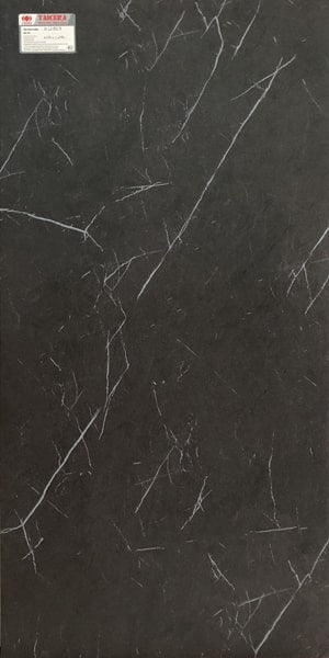 Gạch lát nền taicera 60×120 g12809 - Daisan Store