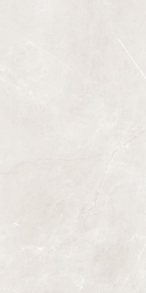 Gạch lát nền taicera 60×120 g12845 - Daisan Store