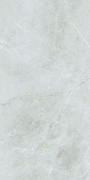 Gạch lát nền taicera 60×120 g12848 - Daisan Store
