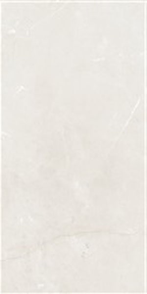 Gạch lát nền taicera 60×120 gp12845 - Daisan Store