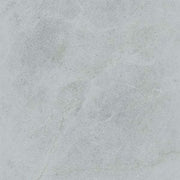 Gạch lát nền taicera 60×60 g68848 - Daisan Store