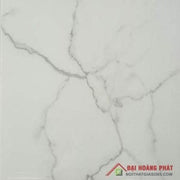 Gạch lát nền taicera 60×60 gp68945 - Daisan Store