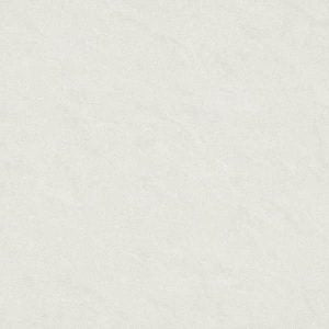 Gạch lát nền taicera 60×60 p67542n - Daisan Store