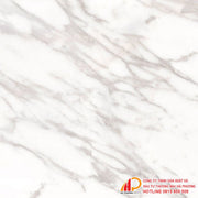 Gạch lát nền Thạch Bàn GSM80 - 8305.0 - Daisan Store