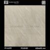 Gạch lát nền 600×600 VN-66310