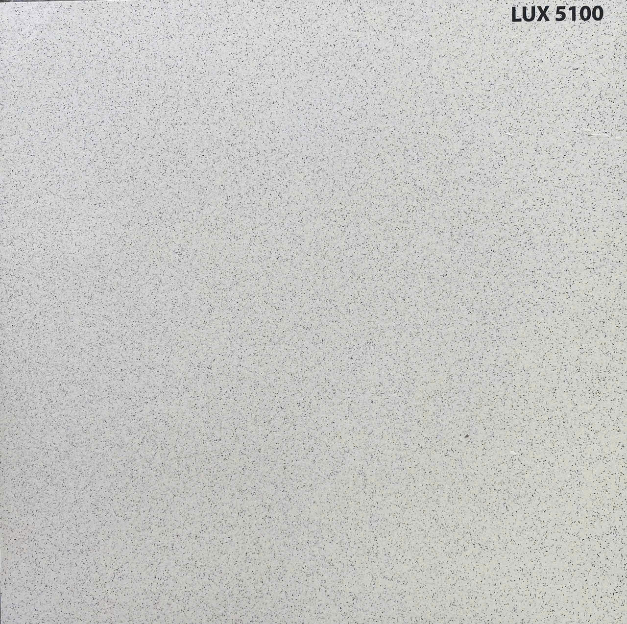 Gạch lát sân kem muối tiêu LUX 5100 KT 50x50cm - Daisan Store