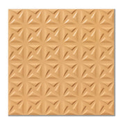 Gach Lat San Vuon Ngoai Troi Chong Tron 20x20 Hien Dai - Daisan Store