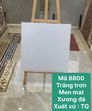 Gạch Lát Trung Quốc, Xương đá xám mờ mã 8800 , KT 800x800mm ( 3 Viên/thùng/1,92m2) - Daisan Store
