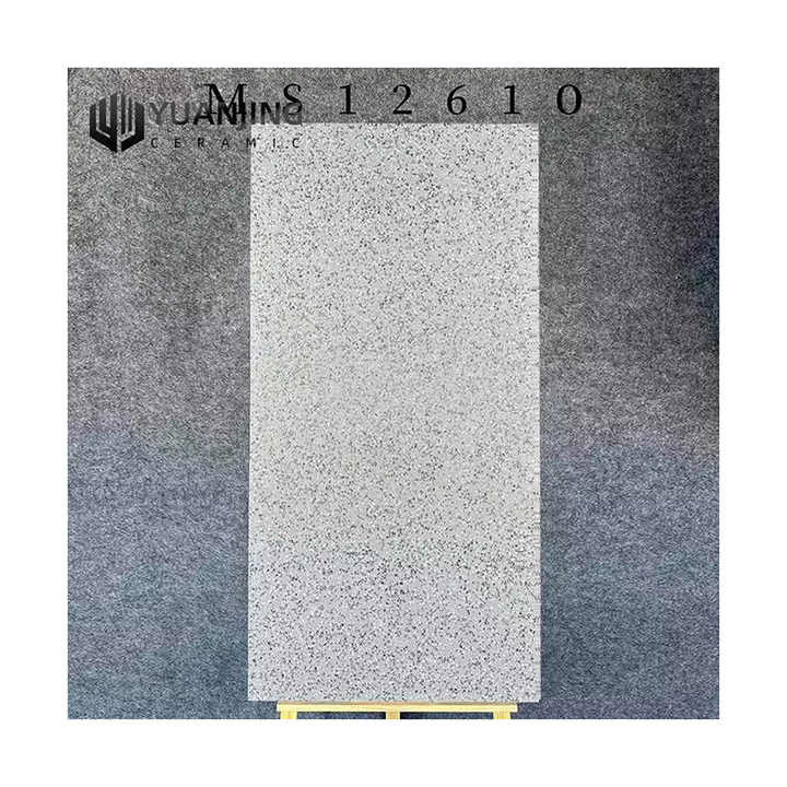 Gạch men mài bóng cao cấp khổ lớn mờ 600x1200mm - Daisan Store