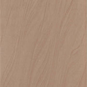 Gạch men ốp tường Taicera W24011 - Daisan Store