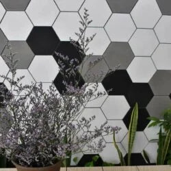 Mosaic Lục Giác - Nghệ Thuật Khảm Độc Đáo và Bền Bỉ