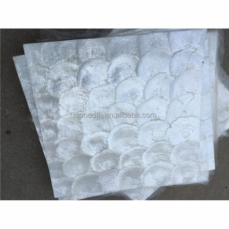 Gạch Mosaic Vỏ Sò Capiz Tự Nhiên Trang Trí Hiện Đại - Daisan Store