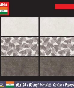 Gạch nhập khẩu Ấn Độ 60×120 561 - Daisan Store