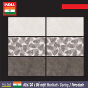 Gạch nhập khẩu Ấn Độ 60×120 561 - Daisan Store