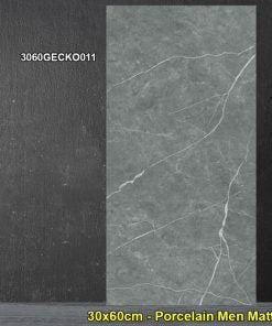 Gạch Ốp Lát 30x60cm Đồng Tâm 3060GECKO011 - Daisan Store