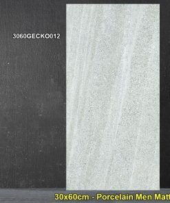 Gạch Ốp Lát 30x60cm Đồng Tâm 3060GECKO012 - Daisan Store