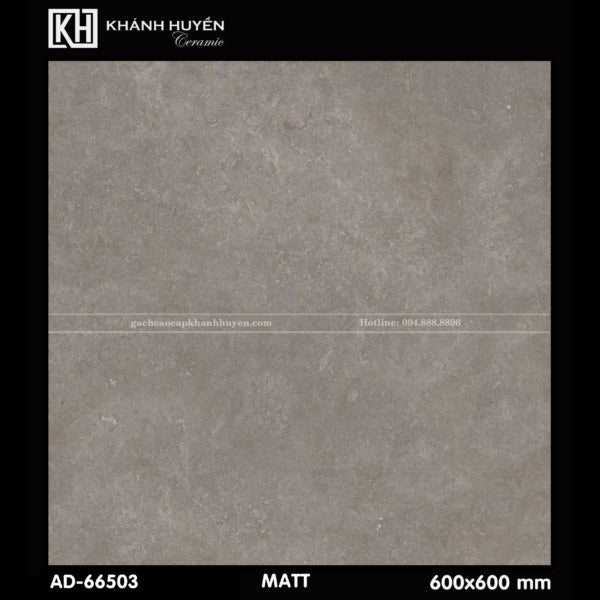 Gạch ốp lát 600×600 AD - 66503 - Daisan Store