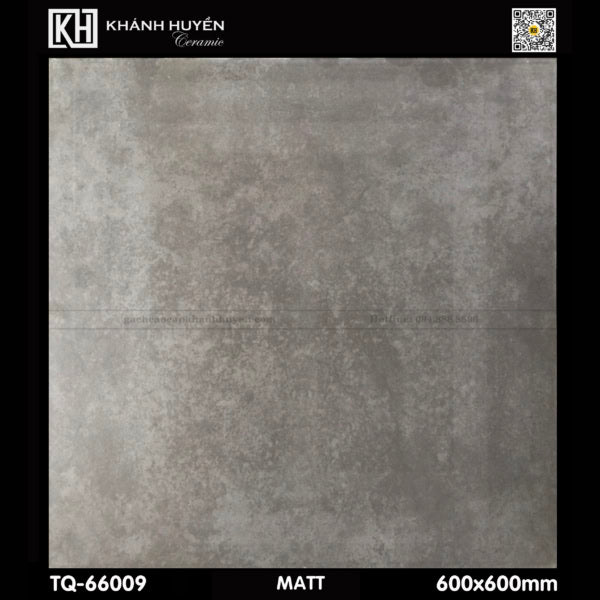 Gạch ốp lát 600×600 TQ - 66009 - Daisan Store