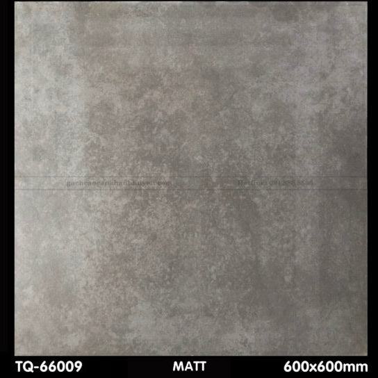 Gạch ốp lát 600×600 TQ - 66009 - Daisan Store