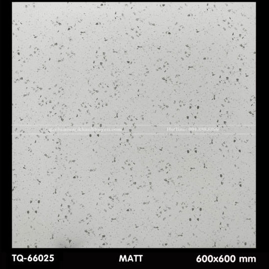 Gạch ốp lát 600×600 TQ - 66025 - Daisan Store