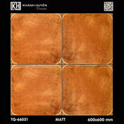 Gạch ốp lát 600×600 TQ - 66031 - Daisan Store