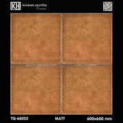 Gạch ốp lát 600×600 TQ - 66032 - Daisan Store