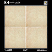 Gạch ốp lát 600×600 TQ - 66035 - Daisan Store
