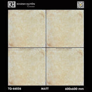 Gạch ốp lát 600×600 TQ - 66036 - Daisan Store