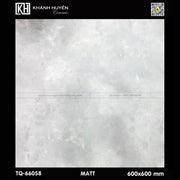 Gạch ốp lát 600×600 TQ - 66058 - Daisan Store