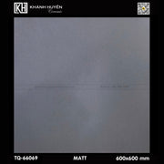 Gạch ốp lát 600×600 TQ - 66069 - Daisan Store